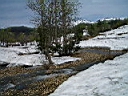 2006-05-10 013.JPG